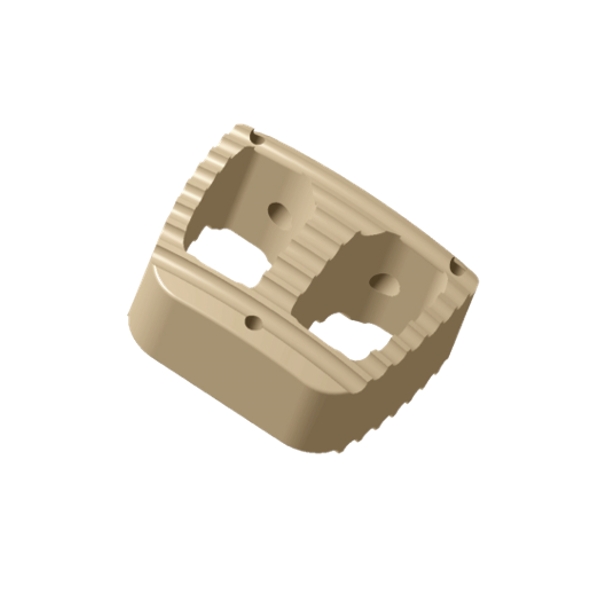 Spinal Interbody Fusion Cage