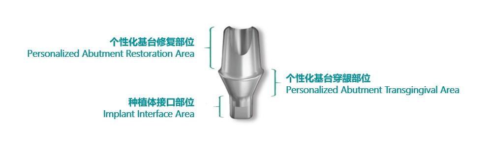 Personalized Dental Abutment and Screw