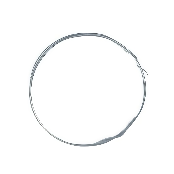 Flexible Stainless Steel Wire