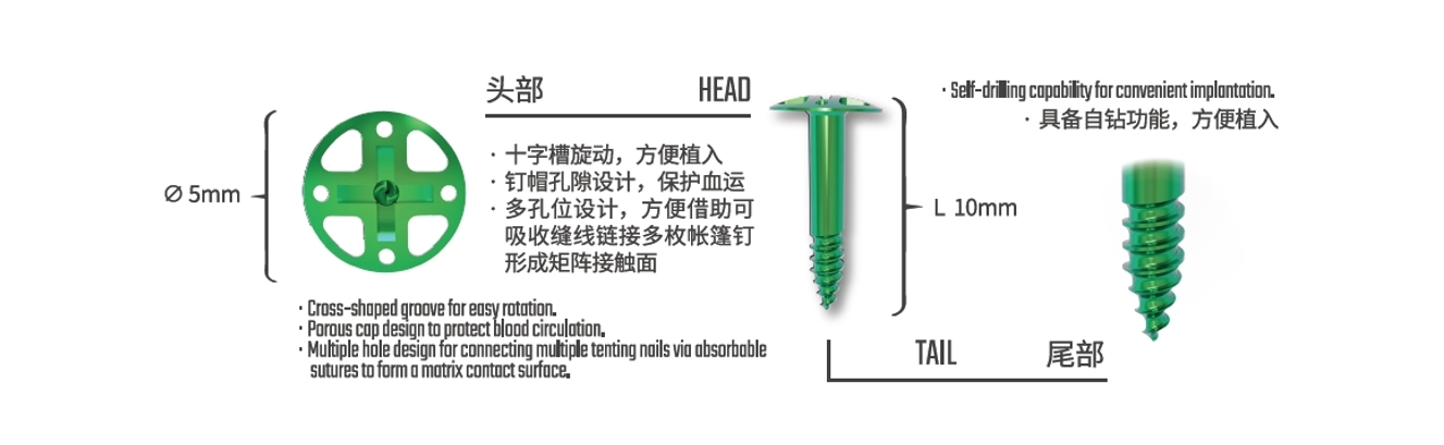 Dental Tent Screw